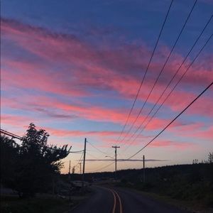 Meet your Posher, Sophie